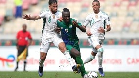 “封神”助力续航绿茵梦想，新鹏城与台铃举行车辆交付仪式