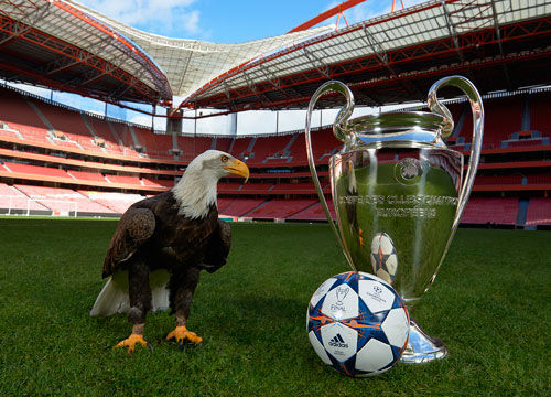 历史第三年轻！申京达成又一里程碑，仅次于詹姆斯&字母哥（史上第3年轻！申京再添里程碑，仅次詹姆斯与字母哥）